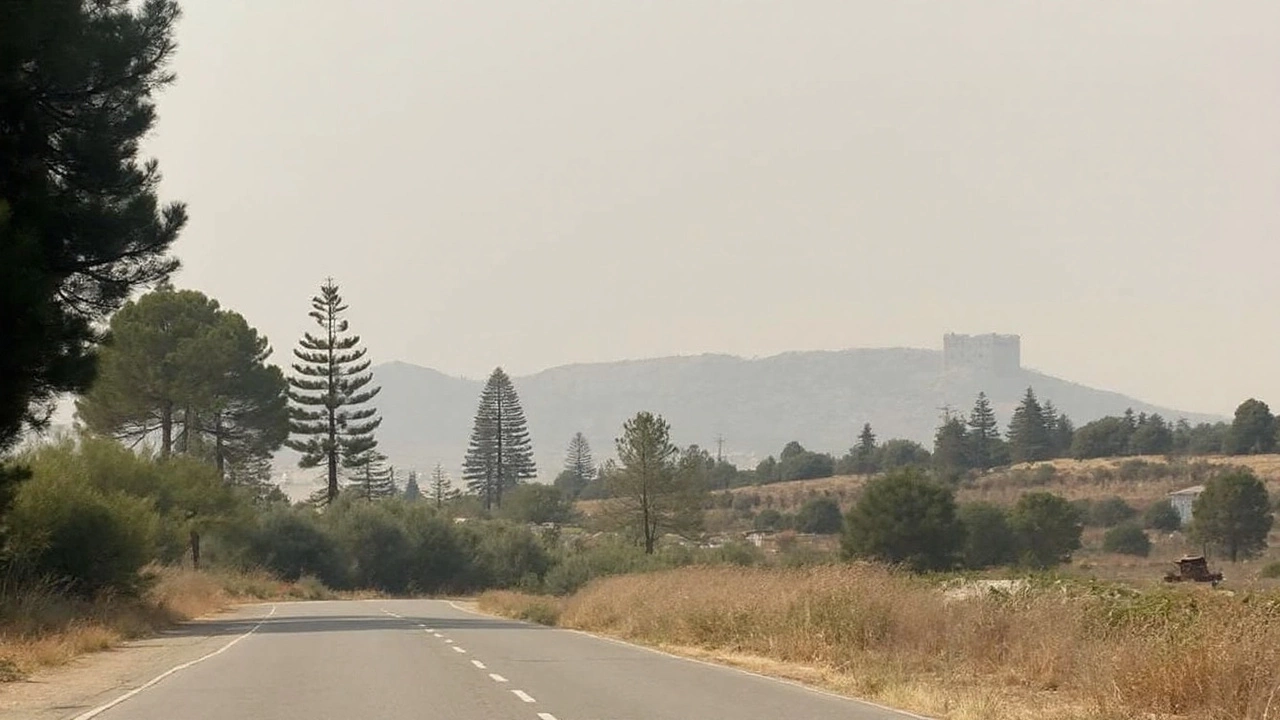 Polvo sahariano: Lorca activa la alerta de nivel 3 y hace gratis el bus por el repunte de PM10